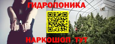 крисы Дубна