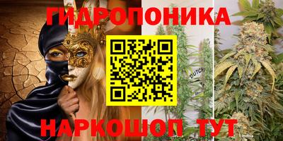 крисы Дубна