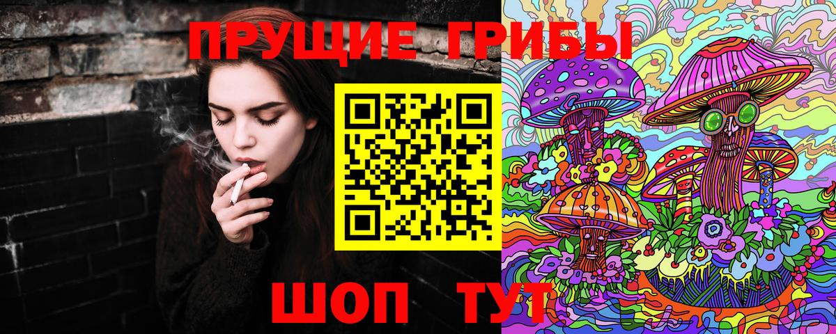 Псилоцибиновые грибы Cubensis Лесной