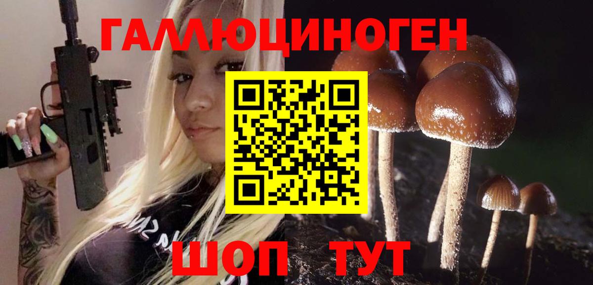 Лесной  Псилоцибиновые грибы MAGIC MUSHROOMS  Псилоцибиновые грибы MAGIC MUSHROOMS  Вход с VPN 